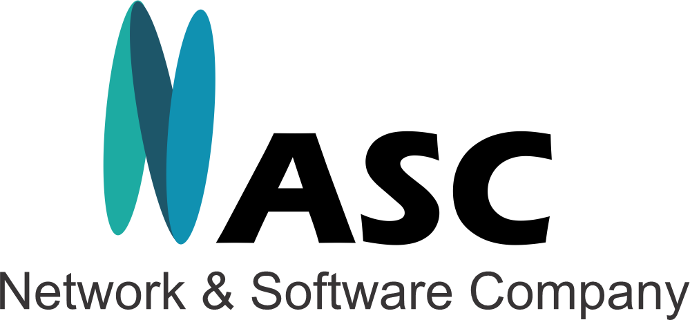 Network & Software Company